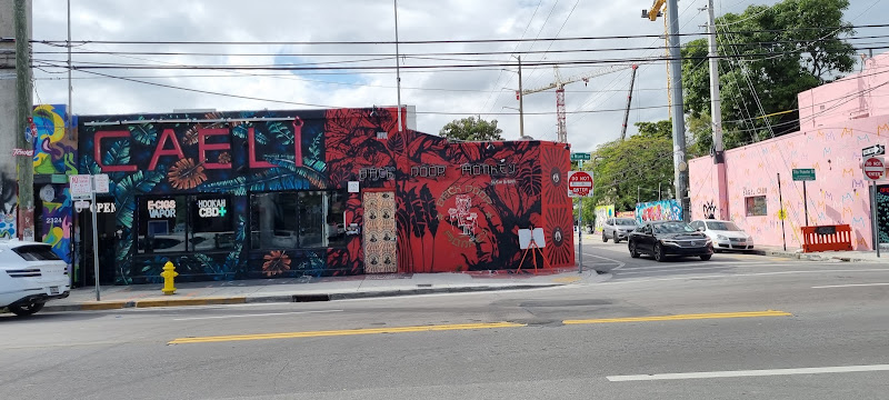 Caeli Smoke & More in Miami