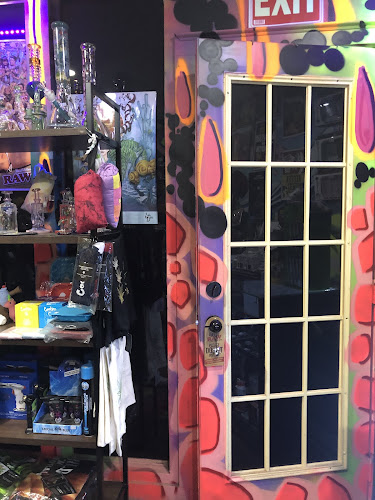The Logical Hippie in Tampa
