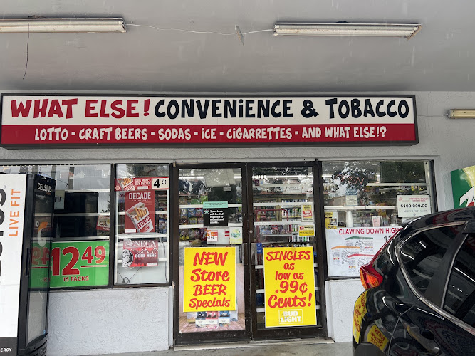 What Else Convenient & Tobacco in St. Petersburg