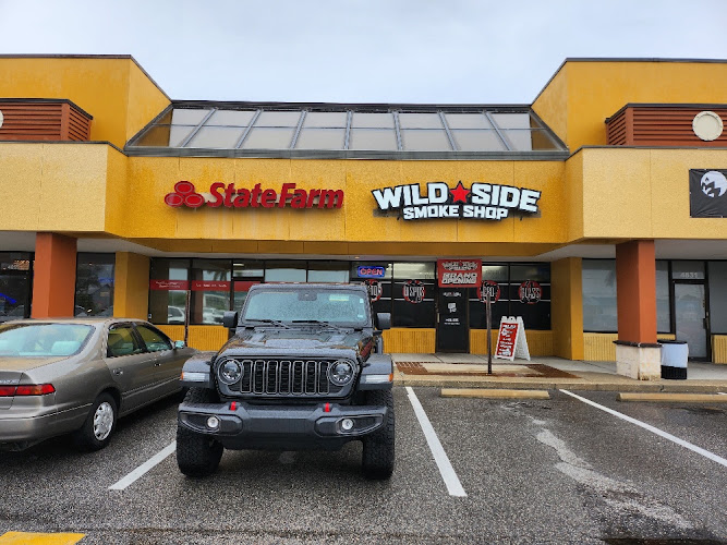 Wild Side Smoke Shop in St. Petersburg